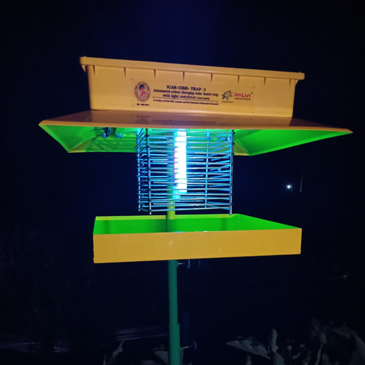 ICAR CISH TRAP 1